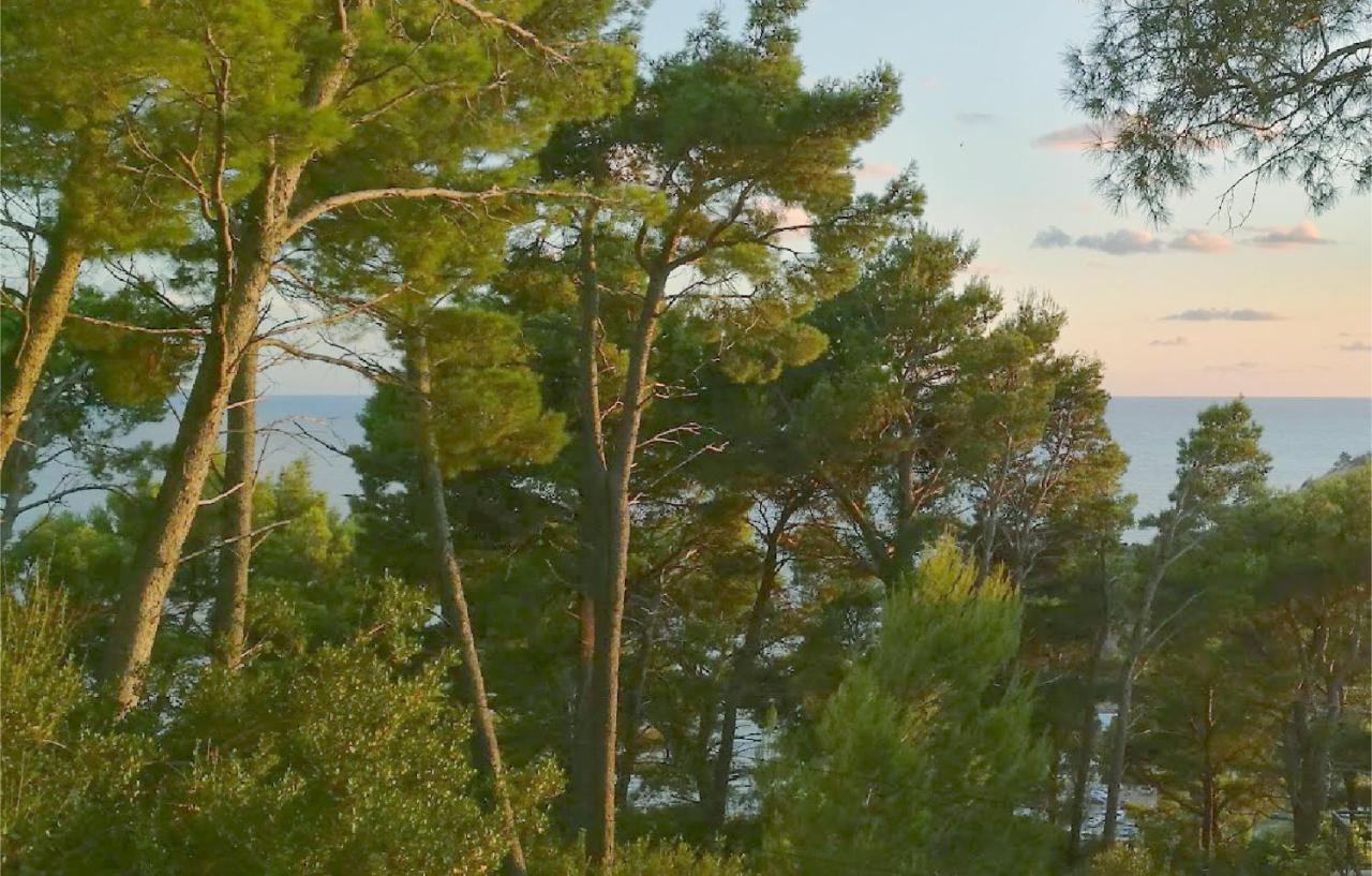 House In The Pines Villa Sutomore Bagian luar foto