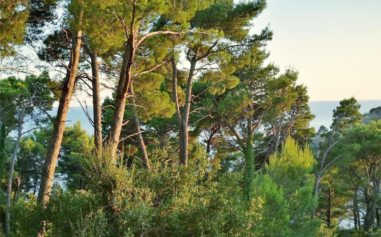 House In The Pines Villa Sutomore Bagian luar foto