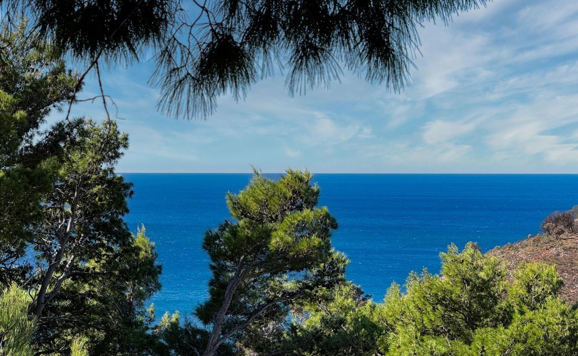 House In The Pines Villa Sutomore Bagian luar foto